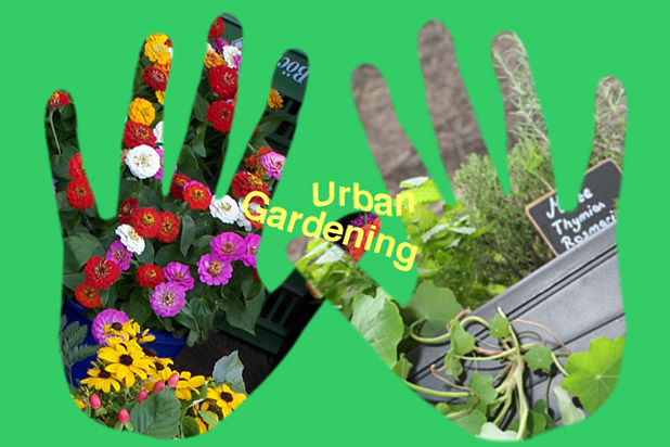 Urban-Gardening - Tipps für den Garten in der Stadt Foto(Design): Marikka-Laila Maisel